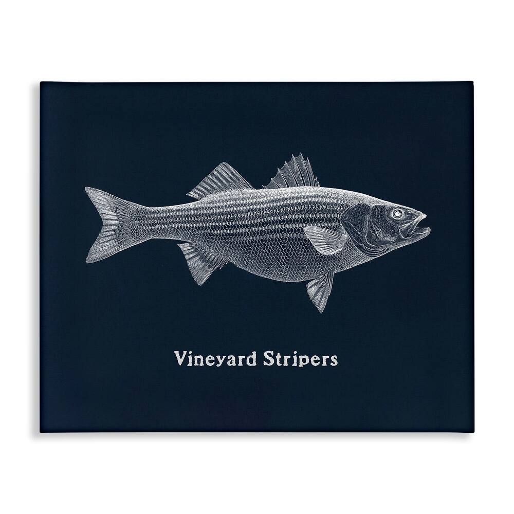 Stupell Vineyard Stripers Fish Canvas Wall Art Design By Phillipa Katz