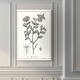 preview thumbnail 7 of 8, Antique Black & White Botanical-Premium Gallery Wrapped Canvas
