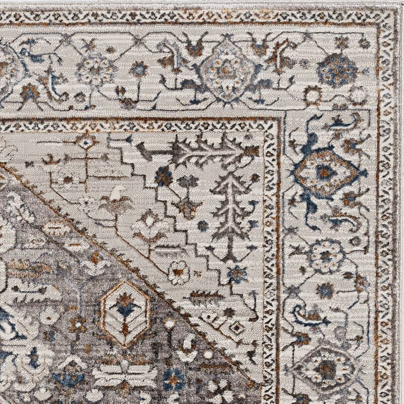 Strick & Bolton Renew Traditional Medallion Area Rug