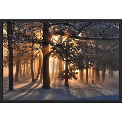Sunrise in a Snowy Forrest Photography by Wayne Collamore Framed Poster