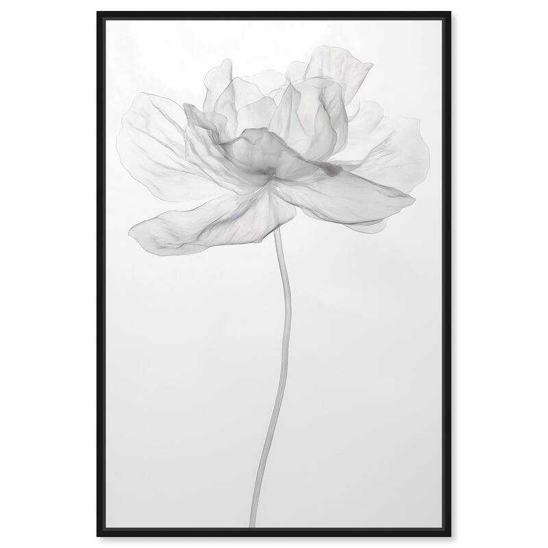 Fragile Beauty II Canvas by Art Remedy - Black - 36" x 54"