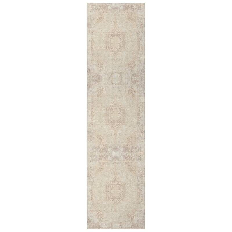 Sevita Traditional Bordered/Medallion Indoor Area Rug - 2' x 5' - Beige