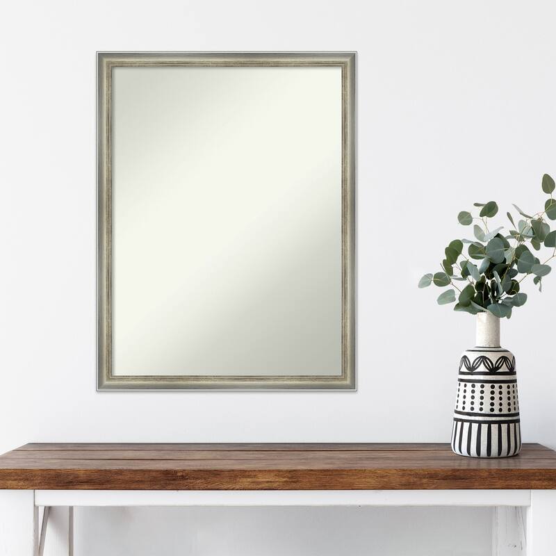 Salon Scoop Non-Beveled Wood Framed Wall Mirror