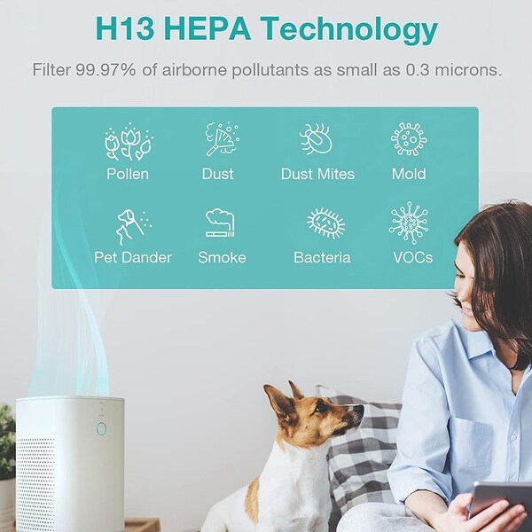 Redypure store air purifier