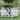 5 Pack Garden Fence Metal Fencing Panels Rustproof Border Section Fence