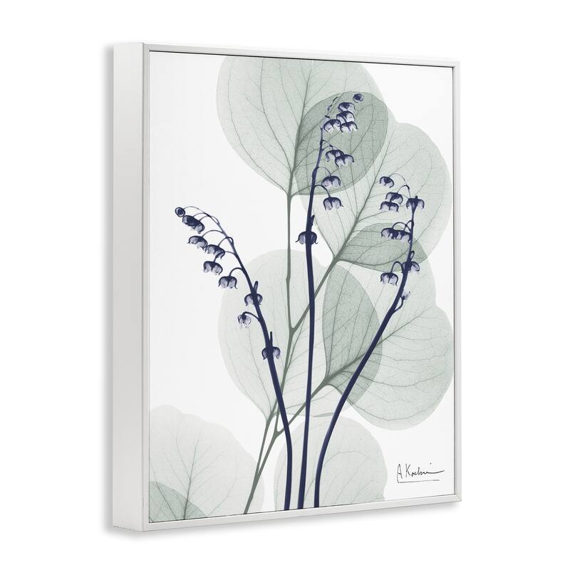 Stupell Serene Modern Eucalyptus Framed Giclee Art Design By Albert Koetsier