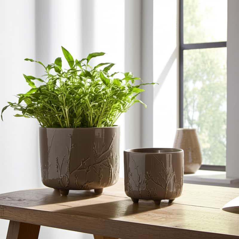Ceramic Stoneware Planter with Raised Botanical Texture Footed Base