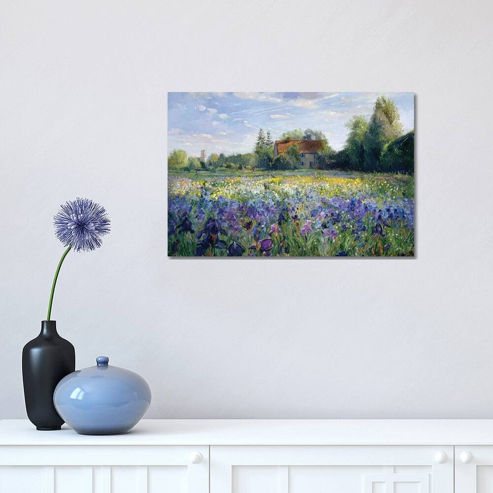 iCanvas "Evening At The Iris Field" by Timothy Easton Canvas Print