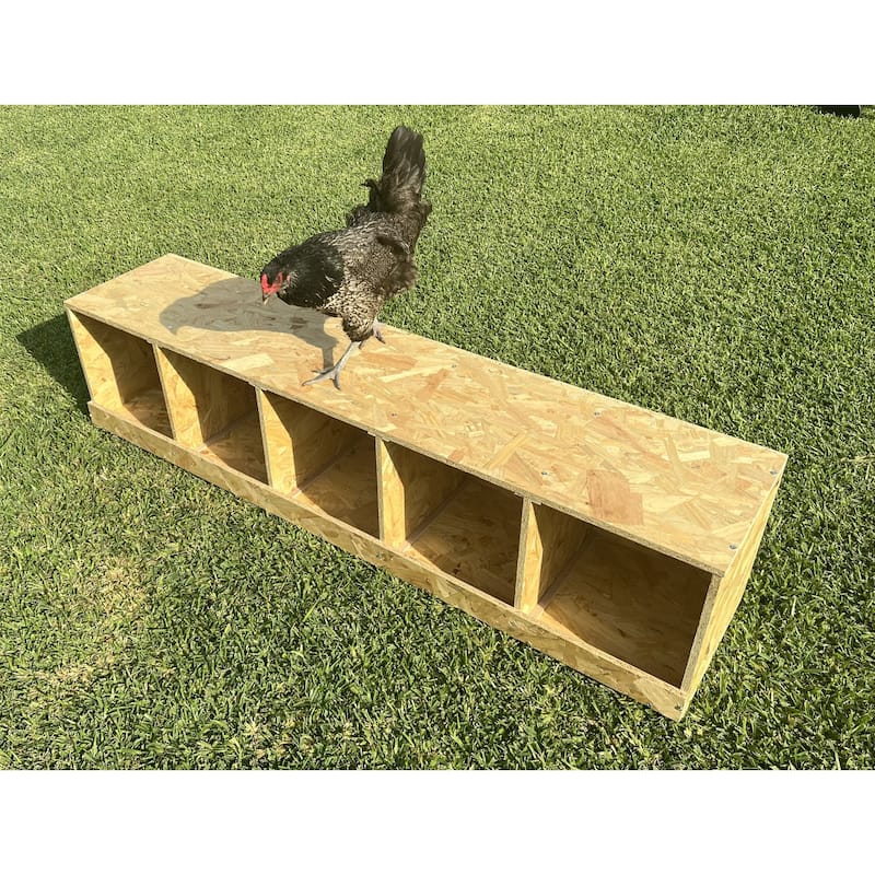 Zylina Best Rest 5 Bay Nesting Box - N/A - 57x13x13