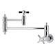 Option Polished Chrome