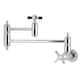 Option Polished Chrome