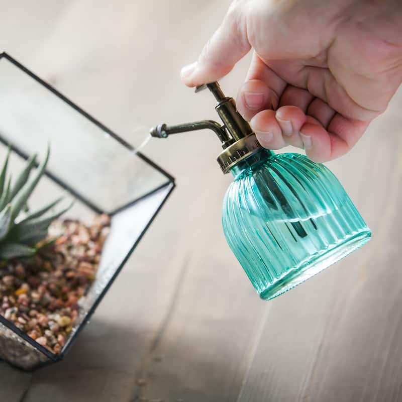 Decorative Plant Misters, blue