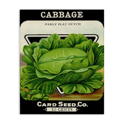 Stupell Vintage Garden Cabbage Canvas Wall Art Design By Lil' Rue
