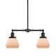Option Oil Rubbed Bronze / Matte White Cased