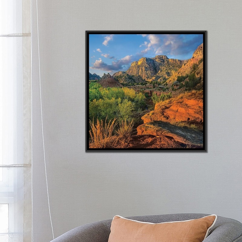 iCanvas "Cottonwood Trees And Mountains, Palo Duro Canyon State Park, Texas" by Tim Fitzharris Framed Canvas Print