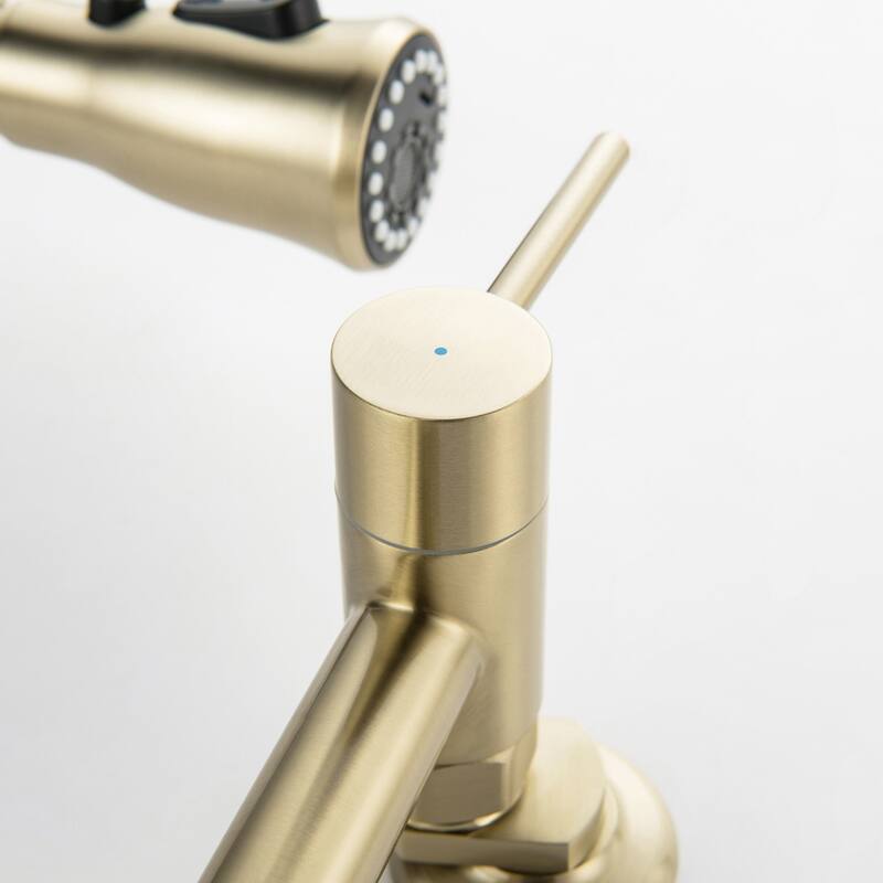 Double-Handle Wall Mounted Pull Down Kitchen Faucet