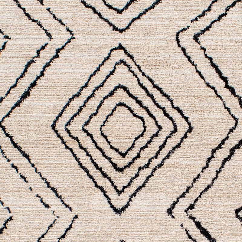 Artistic Weavers Paparuda Bohemian Diamond Area Rug