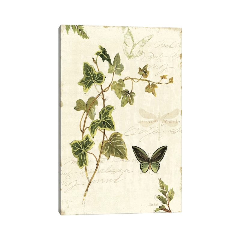 iCanvas "Ivies and Ferns IV" by Lisa Audit Canvas Print