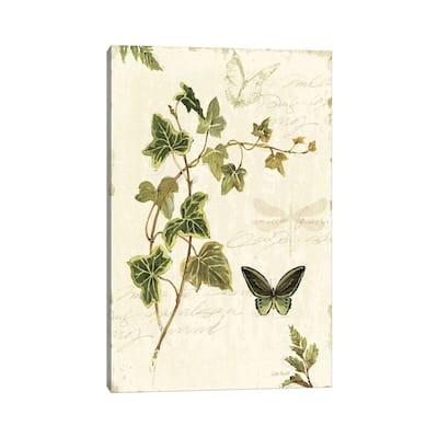 iCanvas "Ivies and Ferns IV" by Lisa Audit Canvas Print