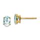 Option Aquamarine