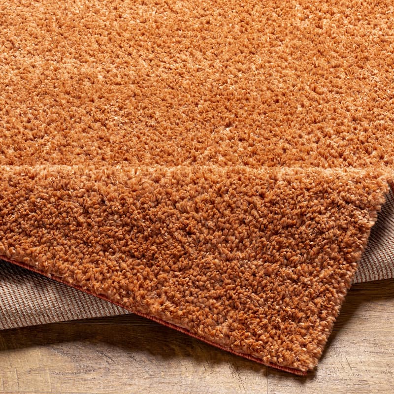 Artistic Weavers Cassey Cozy Plush Shag Area Rug