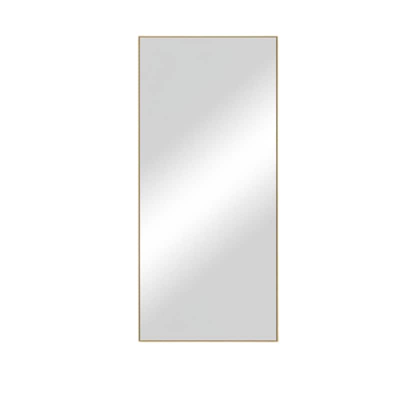 HomeRoots 47" Gold Metal Accent Mirror - 21.7" W x 0.8" D x 47.2" H