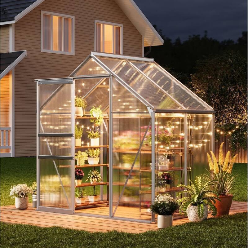 6x4FT Walk-in Polycarbonate Greenhouse for Outdoors Winter Gardening, Silver