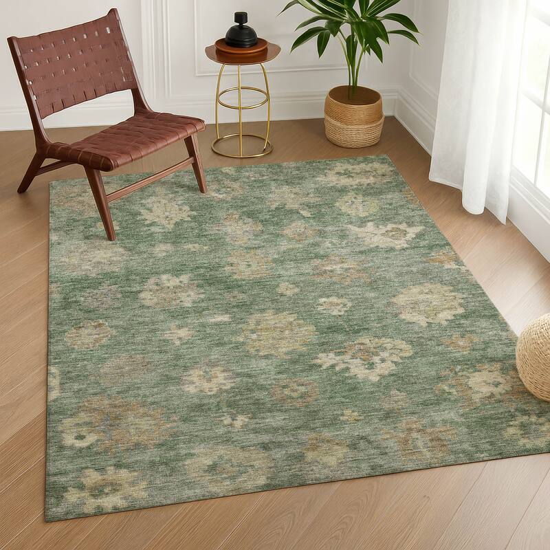 Machine Washable Indoor/ Outdoor Casual Traditional Chantille Rug