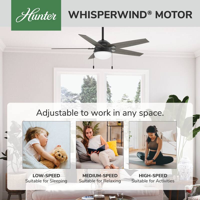 Hunter 44" Matte Black Ceiling Fan with LED Light Kit and Pull Chain