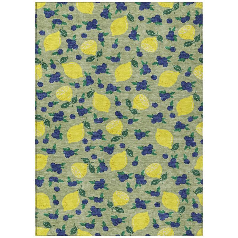 Machine Washable Indoor/ Outdoor Citrus Berry Chantille Rug