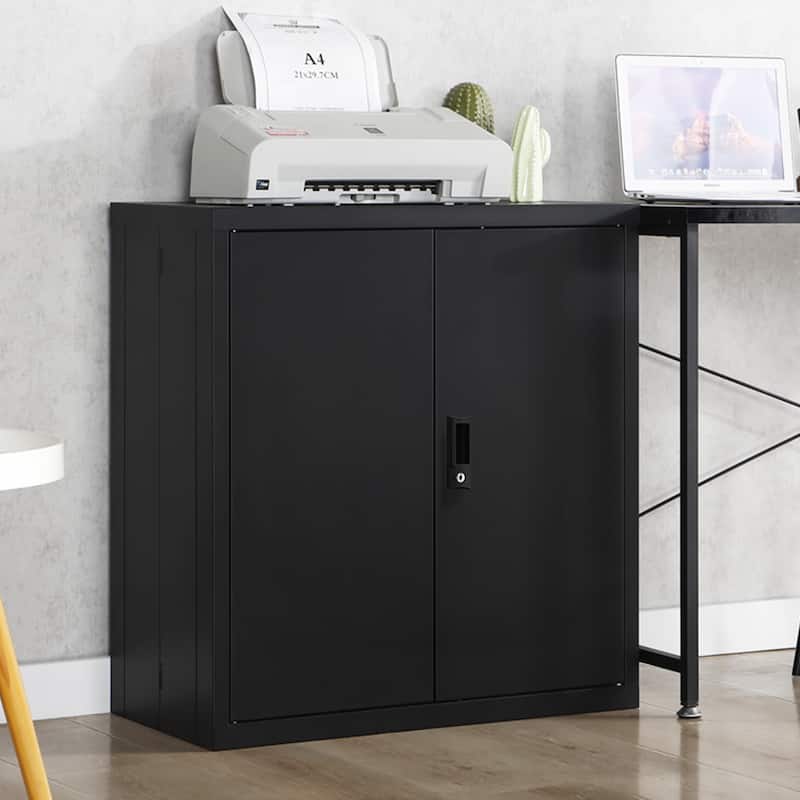 Black Lockable 2-Door Storage Cabinet with Adjustable Shelves Office Home Organizer - N/A - Steel Finish