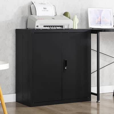 Storage Locker,File Organizer,Storage Cabinet with Door Locks and Two Adjustable Shelves, for Home,Office,School & Garage Use