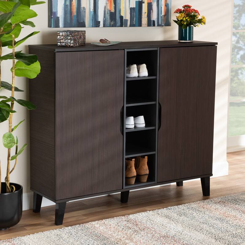 Idina Mid-Century Modern Two-Tone 2-Door Shoe Cabinet