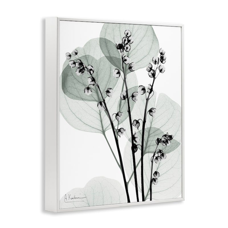 Stupell Fresh Minimalist Herbs Framed Giclee Art Design By Albert Koetsier