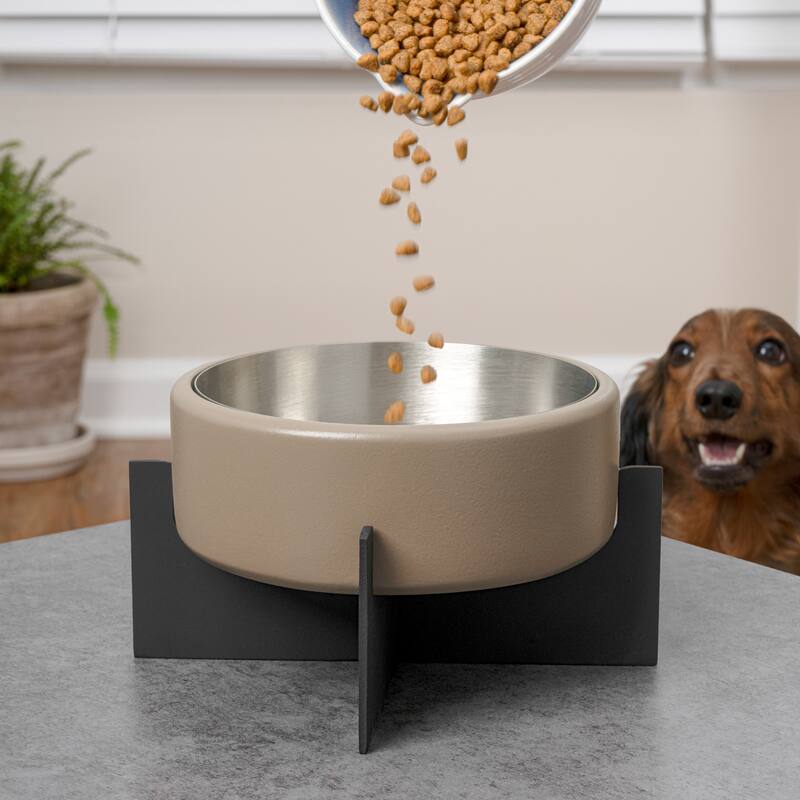 Intersecta Concrete & Steel Pet Feeder - 16oz with Metal Stand