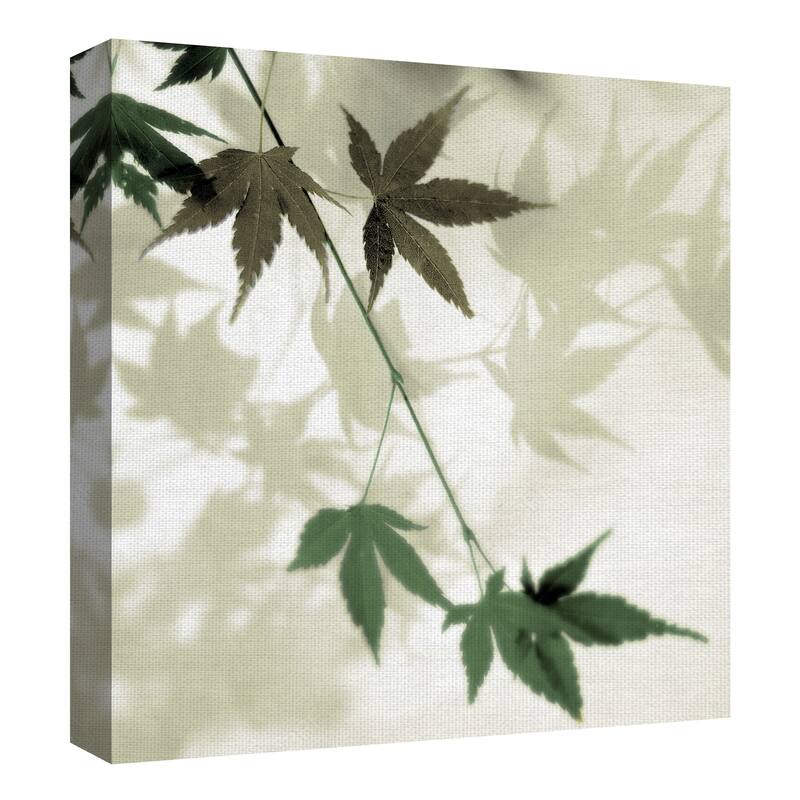 Japanese Maple #2 by Alan Blaustein Canvas Art Print