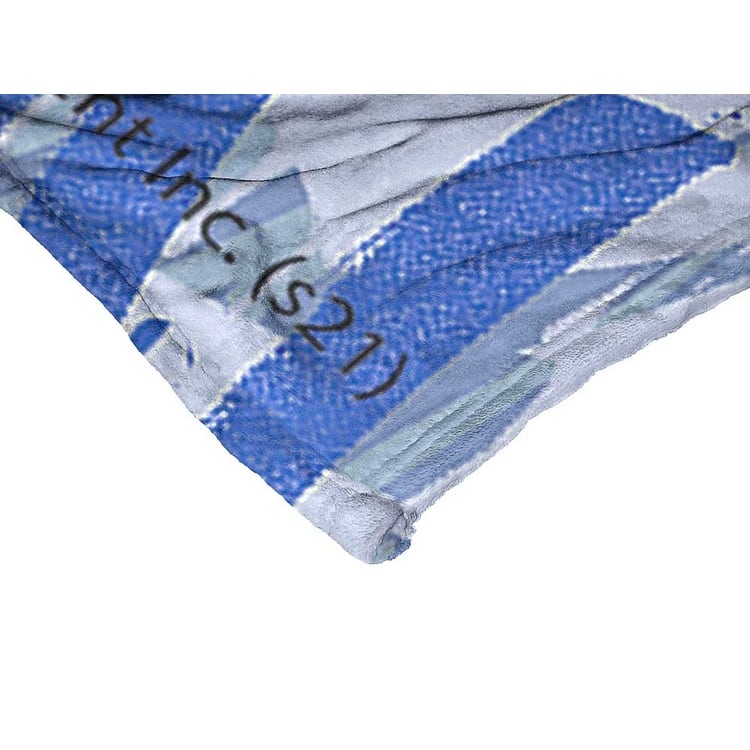 Warner Brothers Looney Tunes Silk Touch Throw Blanket