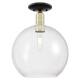 Option Black Antique Brass / Clear