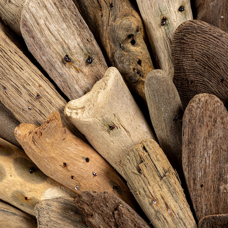 Round Driftwood Wall Décor