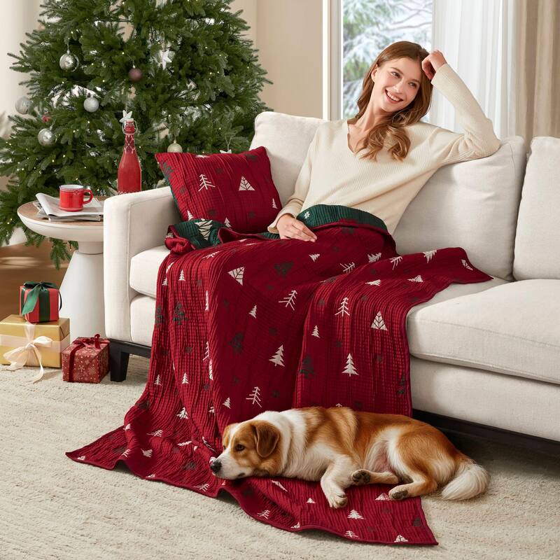 Madison Park Winter Throw Set