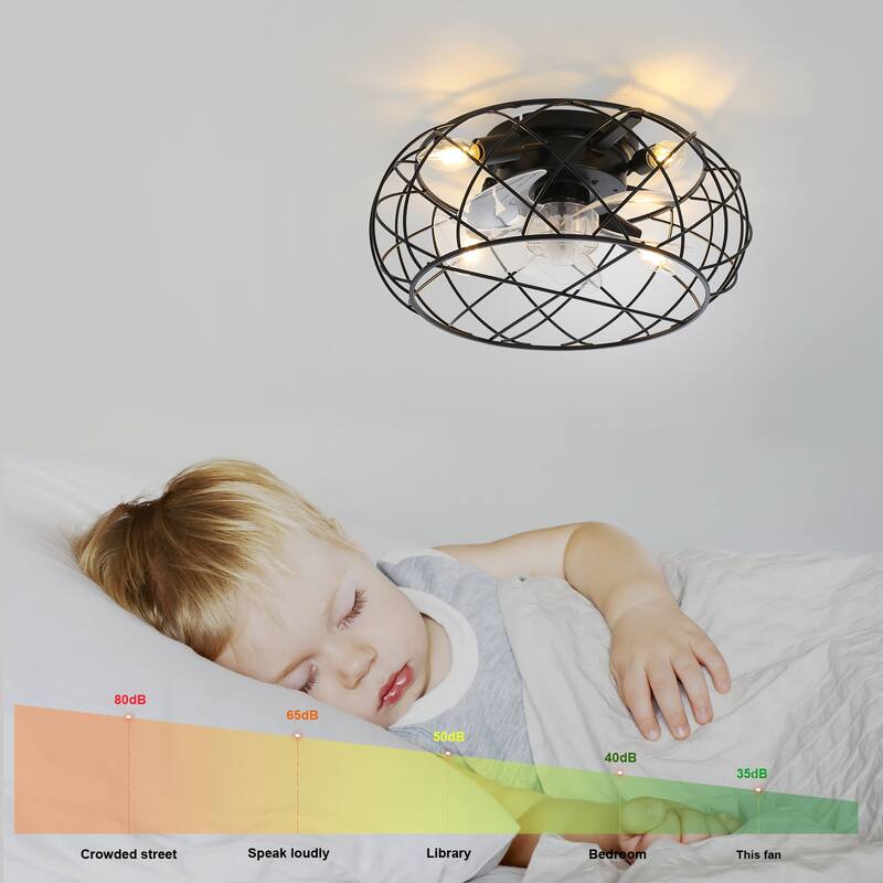 20" Caged Ceiling Fan w/Light & Remote Farmhouse Industrial Enclosed Ceiling Fan