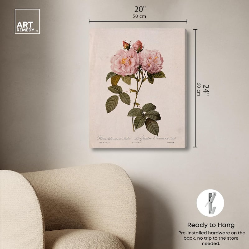 Damask Rose Canvas by Art Remedy, Gallery Wrapped