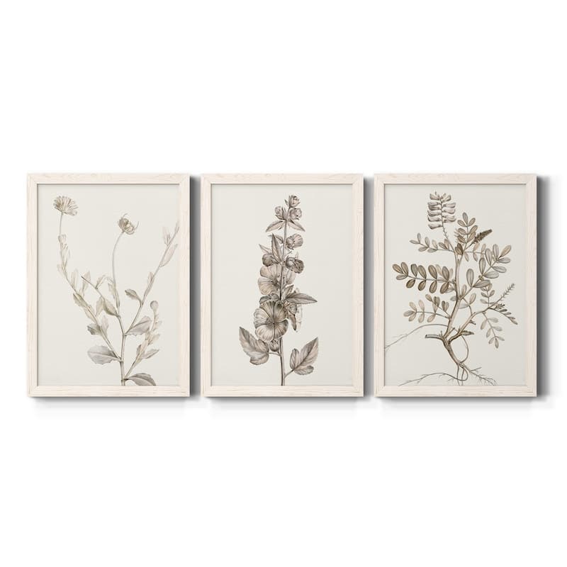 Neutral Botanical Study IV-Premium Framed Canvas - Ready to Hang - Multi-Color - 30.5X42.5 - White