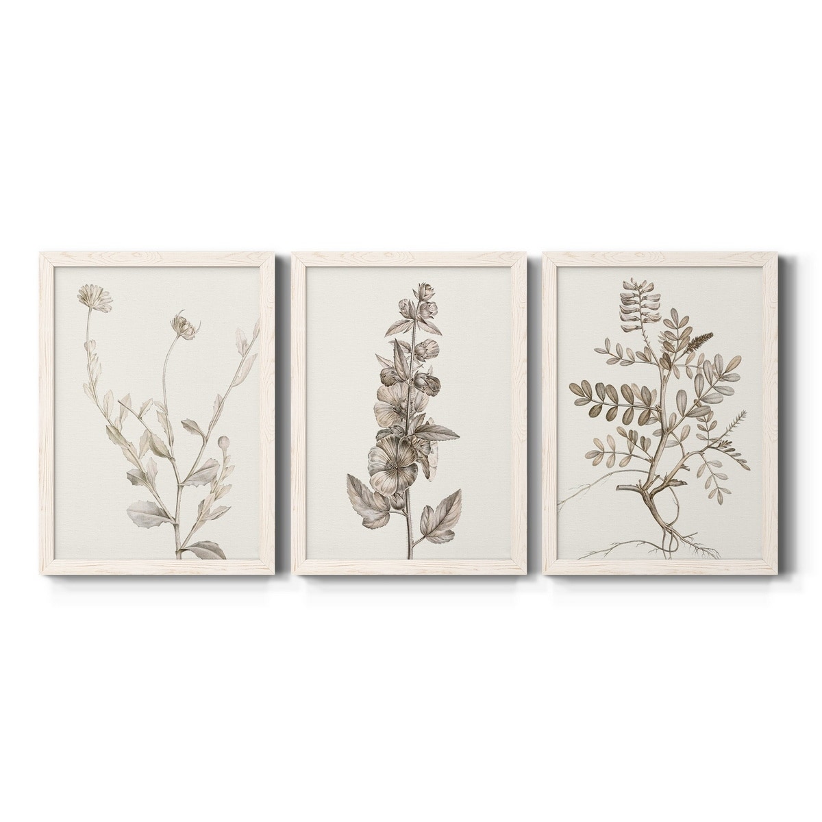Neutral Botanical Study IV-Premium Framed Canvas - Ready to Hang - Multi-Color
