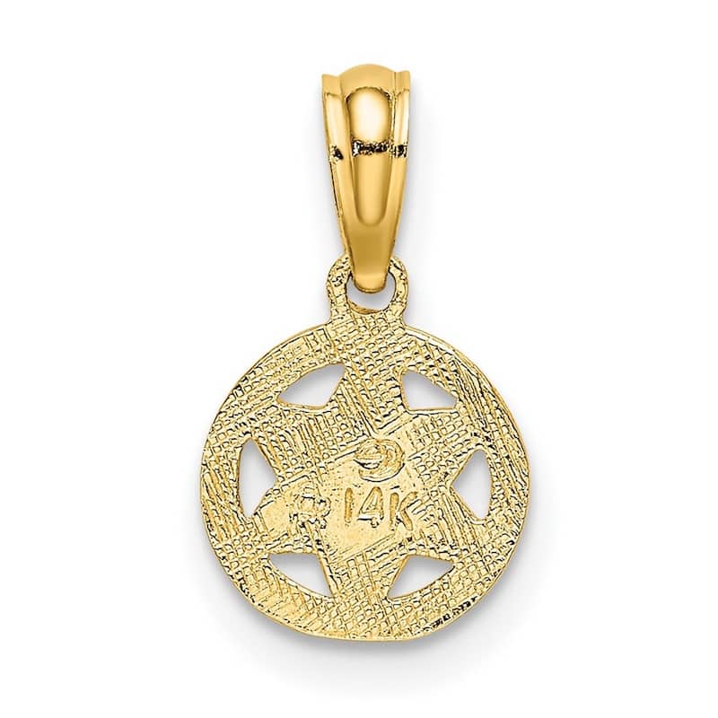 Curata 14k Yellow Gold Small Textured Jewish Star of David In Circle Necklace 13.5mm