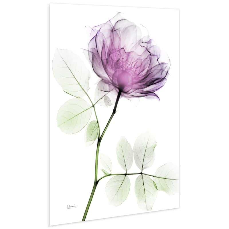"Rose Dynasty 1" Frameless Free Floating Tempered Glass Panel Graphic Wall Art