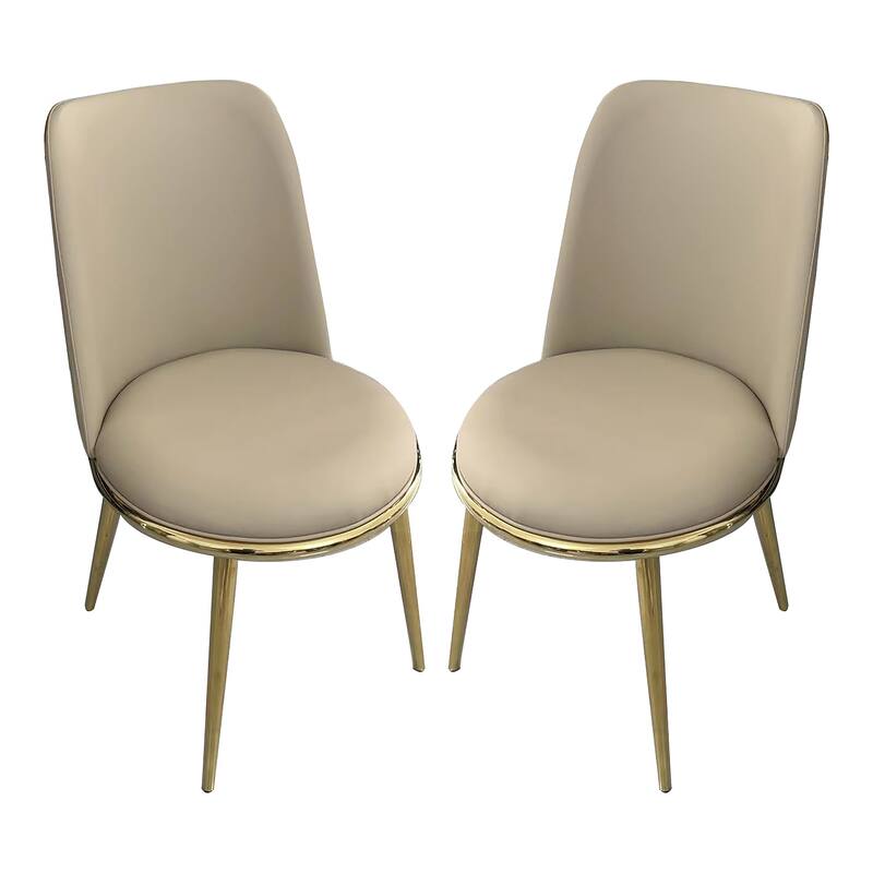Furniture of America Mave Modern Faux Leather Metal Upholstered Dining Chairs (Set of 2)