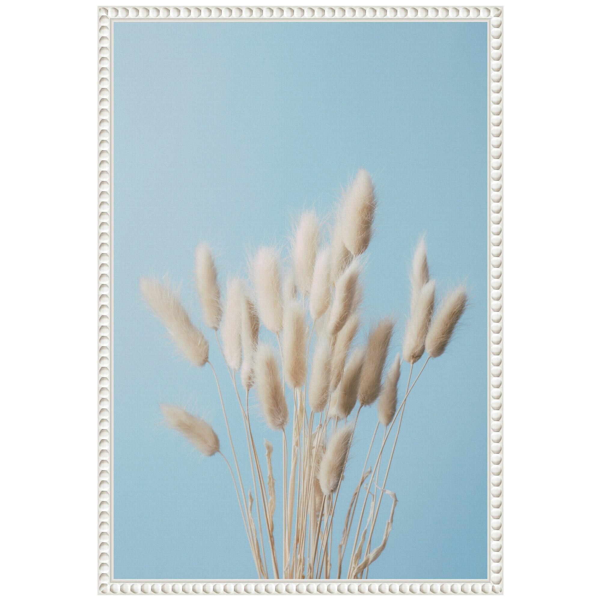 Bunny Grass No 3 by Pictufy Studio III Framed Canvas Wall Art - Sylvie Beaded White