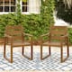 Option Teak