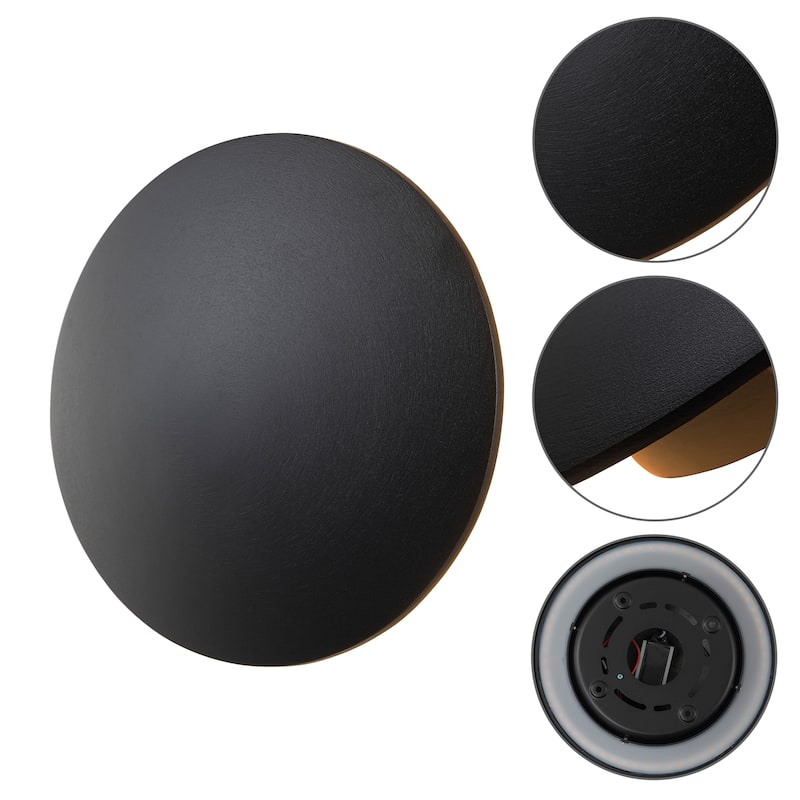C Cattleya 2-pack Matte Black Aluminum Round Disc LED Indoor Outdoor Wall Sconce